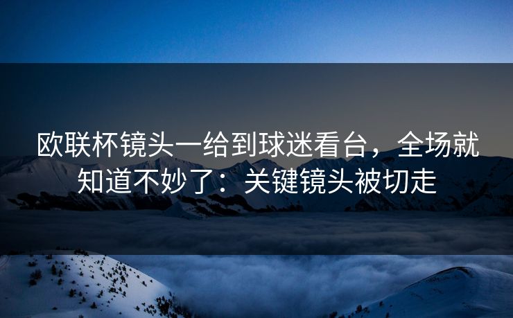 欧联杯镜头一给到球迷看台，全场就知道不妙了：关键镜头被切走