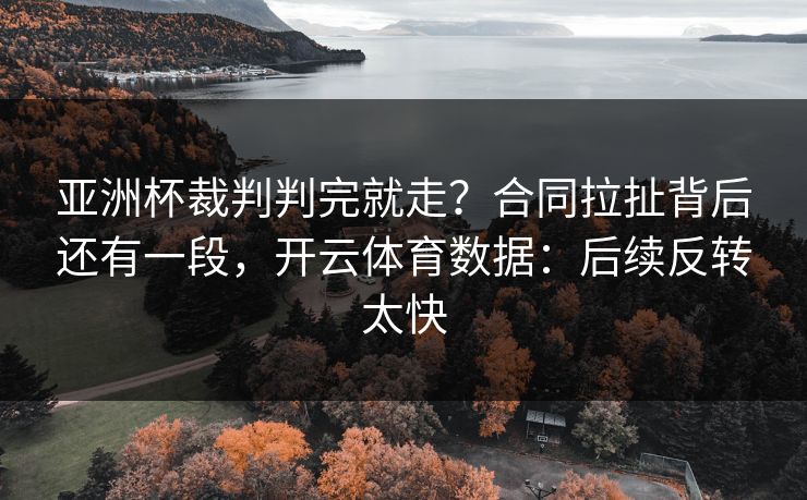 亚洲杯裁判判完就走?合同拉扯背后还有一段,开云体育数据:后续反转太快 亚洲杯裁判判完就走?合同拉扯背后还有一段,开云体育数据:后续反转太快